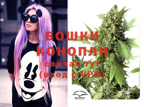 jwh Карпинск