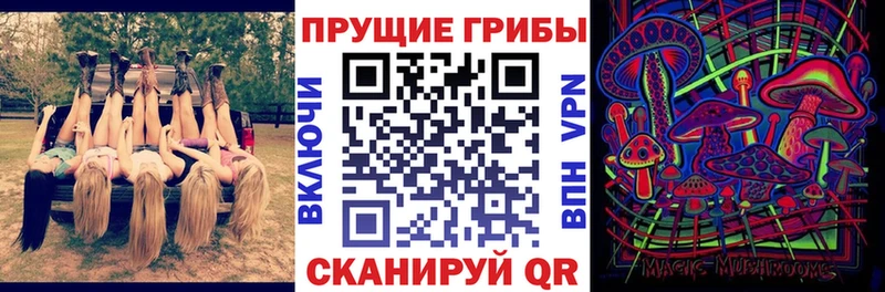 Купить  Верхний Тагил  Псилоцибиновые грибы мицелий 